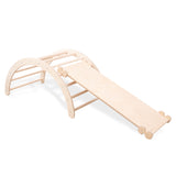 Kletterbogen KLASSIK mit Rutschbrett/Leiter (Varianten wählbar)